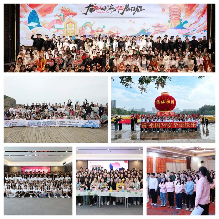 Black Ferro Silicon Zirconium Black Ferro Silicon Zirconium